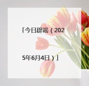 今日辟谣（2025年6月4日）