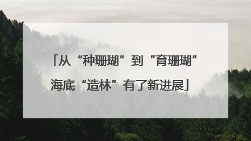 从“种珊瑚”到“育珊瑚” 海底“造林”有了新进展