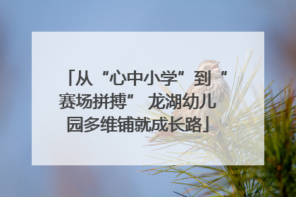 从“心中小学”到“赛场拼搏” 龙湖幼儿园多维铺就成长路