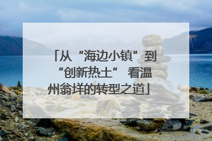 从“海边小镇”到“创新热土” 看温州翁垟的转型之道