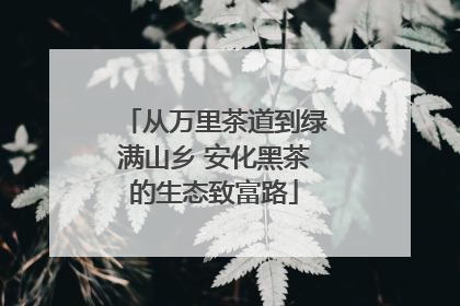 从万里茶道到绿满山乡 安化黑茶的生态致富路