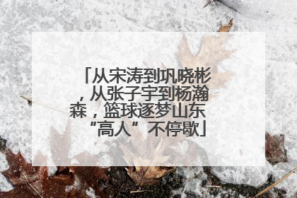 从宋涛到巩晓彬，从张子宇到杨瀚森，篮球逐梦山东“高人”不停歇