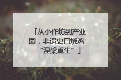 从小作坊到产业园，非遗史口烧鸡“涅槃重生”