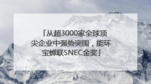 从超3000家全球顶尖企业中强势突围，能环宝蝉联SNEC金奖