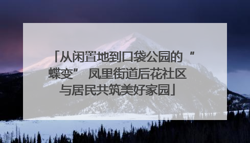 从闲置地到口袋公园的“蝶变” 凤里街道后花社区与居民共筑美好家园