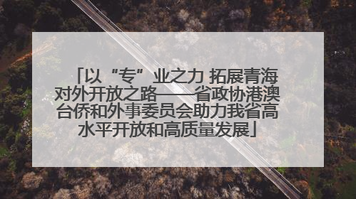 以“专”业之力 拓展青海对外开放之路——省政协港澳台侨和外事委员会助力我省高水平开放和高质量发展