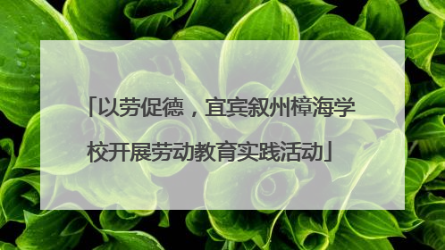 以劳促德，宜宾叙州樟海学校开展劳动教育实践活动