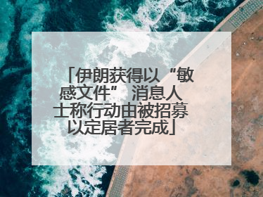 伊朗获得以“敏感文件” 消息人士称行动由被招募以定居者完成