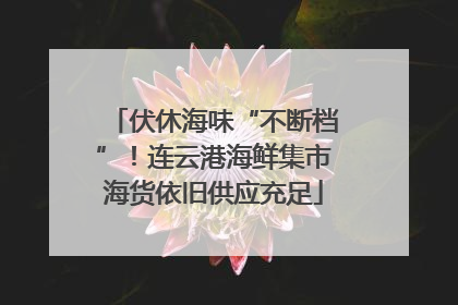 伏休海味“不断档”！连云港海鲜集市海货依旧供应充足