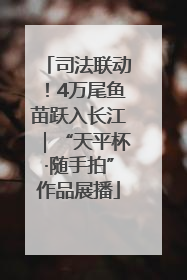 司法联动！4万尾鱼苗跃入长江｜“天平杯·随手拍”作品展播