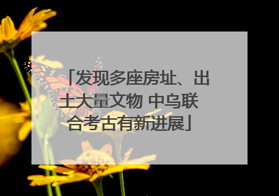 发现多座房址、出土大量文物 中乌联合考古有新进展
