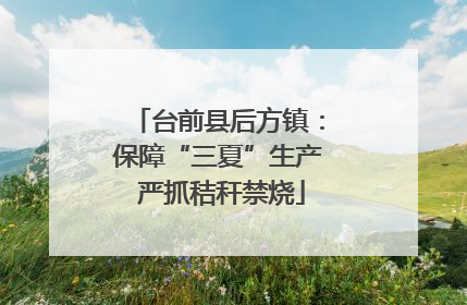 台前县后方镇：保障“三夏”生产 严抓秸秆禁烧