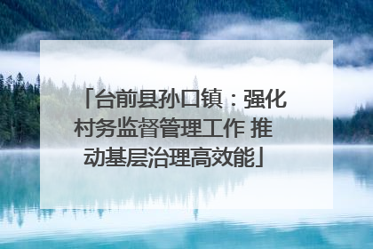 台前县孙口镇：强化村务监督管理工作 推动基层治理高效能