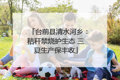 台前县清水河乡：秸秆禁烧护生态 三夏生产保丰收