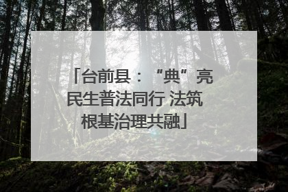 台前县：“典”亮民生普法同行 法筑根基治理共融