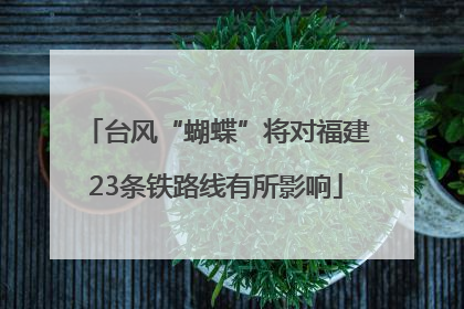 台风“蝴蝶”将对福建23条铁路线有所影响
