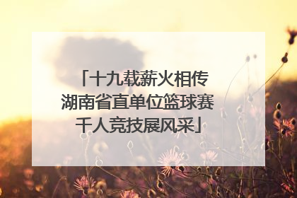 十九载薪火相传 湖南省直单位篮球赛千人竞技展风采