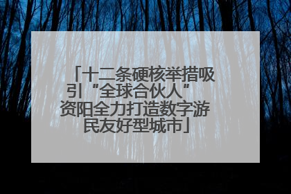 十二条硬核举措吸引“全球合伙人” 资阳全力打造数字游民友好型城市