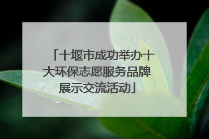 十堰市成功举办十大环保志愿服务品牌展示交流活动