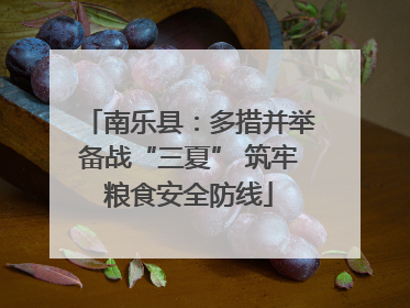 南乐县：多措并举备战“三夏” 筑牢粮食安全防线