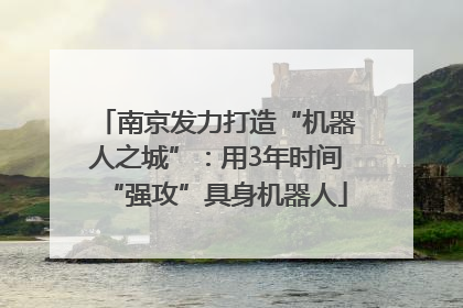 南京发力打造“机器人之城”:用3年时间“强攻”具身机器人