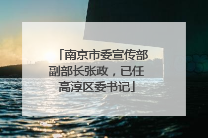 南京市委宣传部副部长张政，已任高淳区委书记