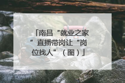 南昌“就业之家”直播带岗让“岗位找人”（图）