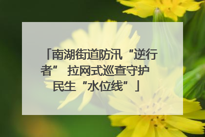 南湖街道防汛“逆行者” 拉网式巡查守护民生“水位线”