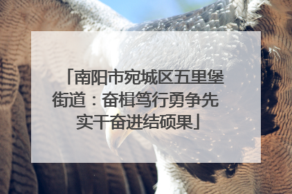 南阳市宛城区五里堡街道：奋楫笃行勇争先 实干奋进结硕果
