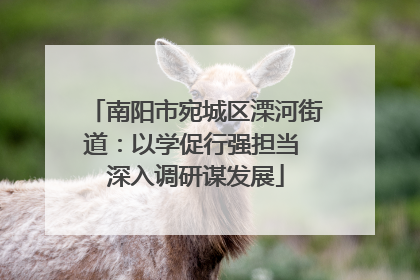 南阳市宛城区溧河街道：以学促行强担当 深入调研谋发展