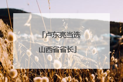 卢东亮当选山西省省长
