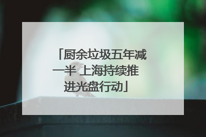 厨余垃圾五年减一半 上海持续推进光盘行动