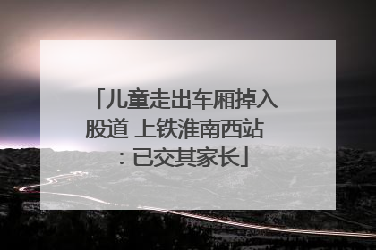 儿童走出车厢掉入股道 上铁淮南西站：已交其家长