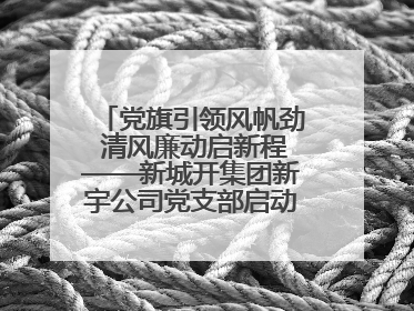 党旗引领风帆劲 清风廉动启新程——新城开集团新宇公司党支部启动“清风廉动党旗红”系列活动