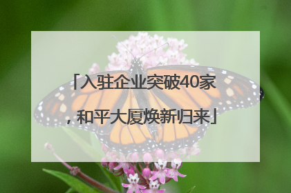 入驻企业突破40家，和平大厦焕新归来