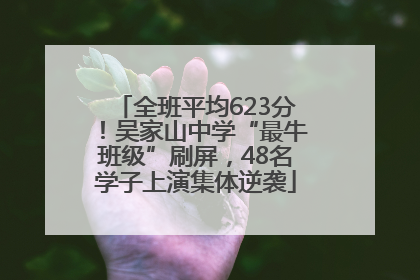 全班平均623分！吴家山中学“最牛班级”刷屏，48名学子上演集体逆袭