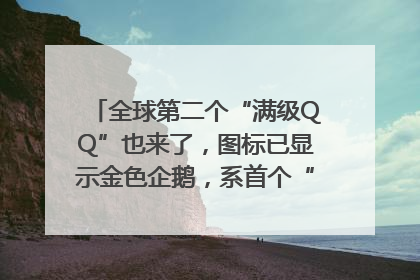 全球第二个“满级QQ”也来了，图标已显示金色企鹅，系首个“满级QQ”的小号