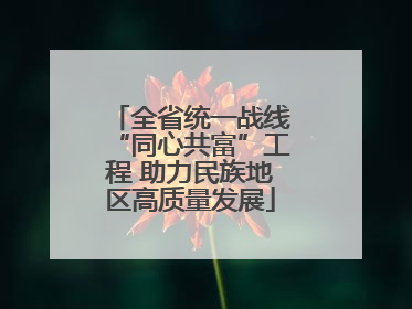 全省统一战线“同心共富”工程 助力民族地区高质量发展