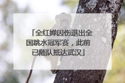 全红婵因伤退出全国跳水冠军赛，此前已随队抵达武汉
