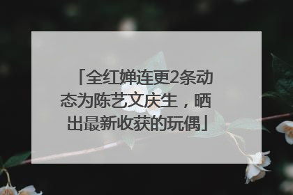 全红婵连更2条动态为陈艺文庆生，晒出最新收获的玩偶