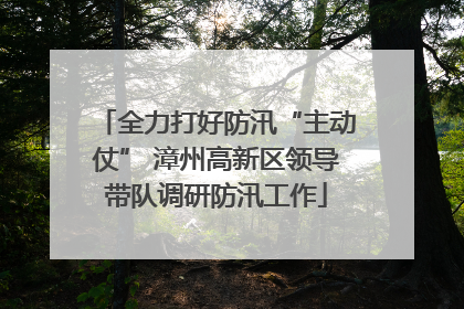 全力打好防汛“主动仗” 漳州高新区领导带队调研防汛工作