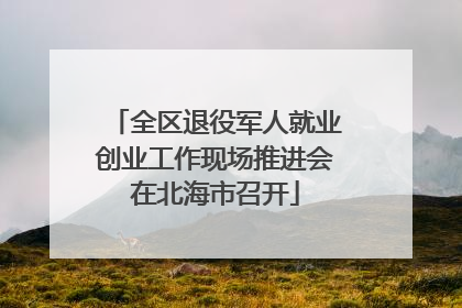 全区退役军人就业创业工作现场推进会在北海市召开