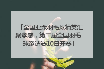 全国业余羽毛球精英汇聚孝感，第二届全国羽毛球邀请赛10日开赛