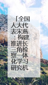 全国人大代表宋燕：构建推进长三角检察一体化学习研究机制