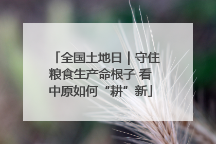 全国土地日｜守住粮食生产命根子 看中原如何“耕”新