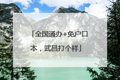 全国通办+免户口本，武昌打个样