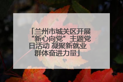 兰州市城关区开展“新心向党”主题党日活动 凝聚新就业群体奋进力量
