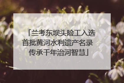 兰考东坝头险工入选首批黄河水利遗产名录 传承千年治河智慧