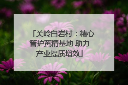 关岭白岩村：精心管护黄精基地 助力产业提质增效
