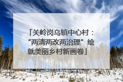关岭岗乌镇中心村：“两清两改两治理”绘就美丽乡村新画卷